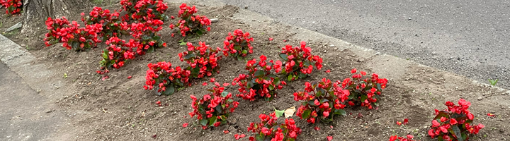 IMG_7221　アイキャッチ(仮)15°